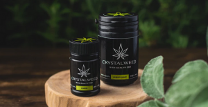 labeled CBD bottles
